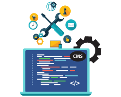 CMS Support And Maintenance